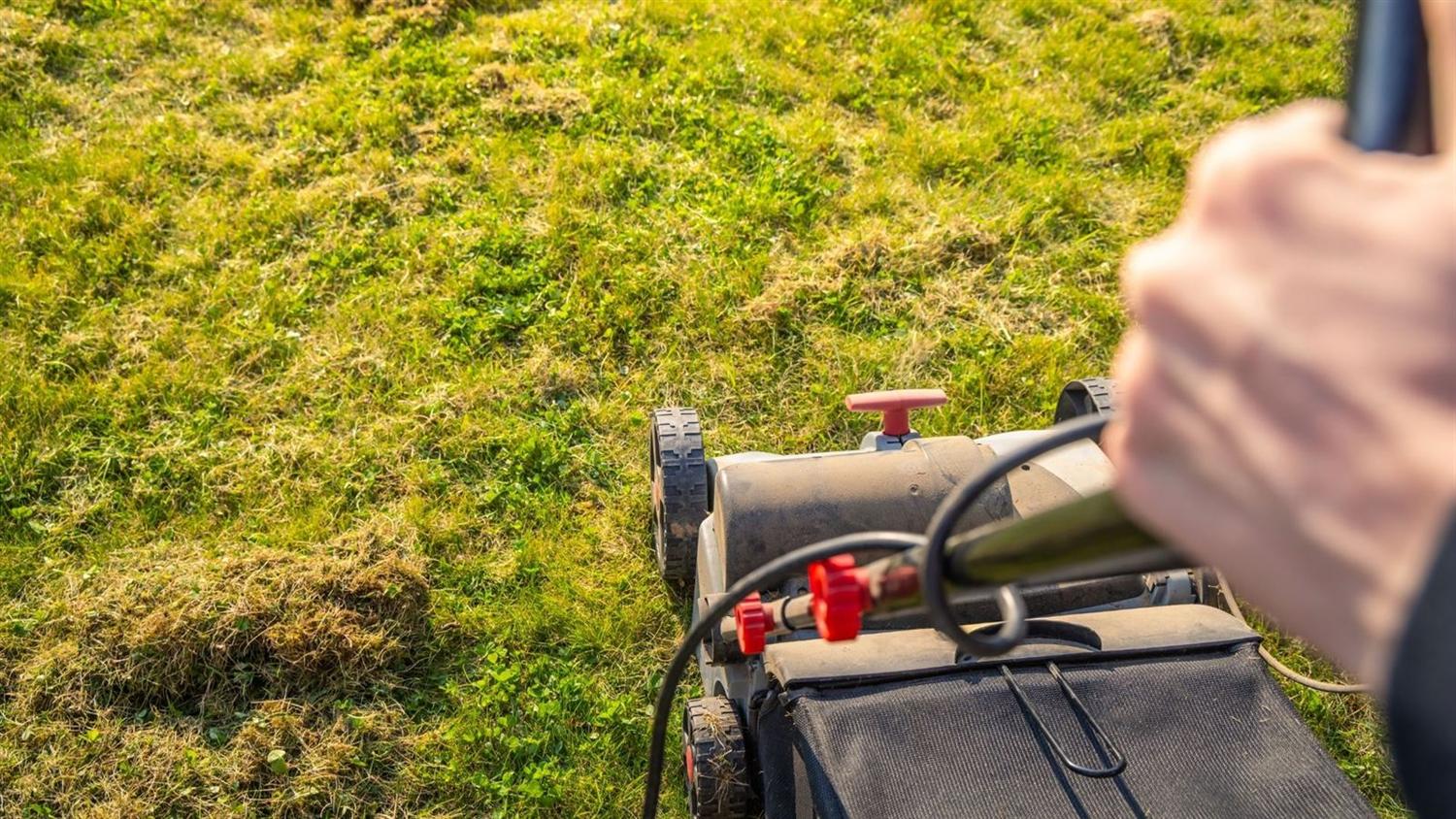 Seasonal Yard Maintenance in Boyds, MD