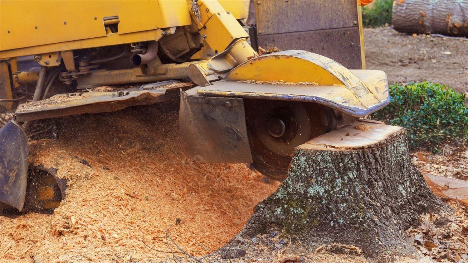 Rodgers Landscaping property maintenance in Boyds, MD