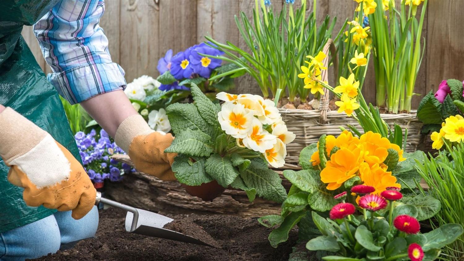 Outdoor landscaping improvements
