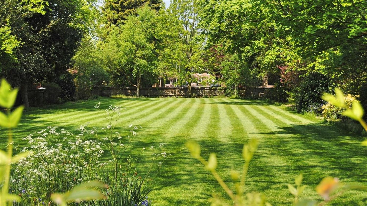Mowed and maintained residential lawn