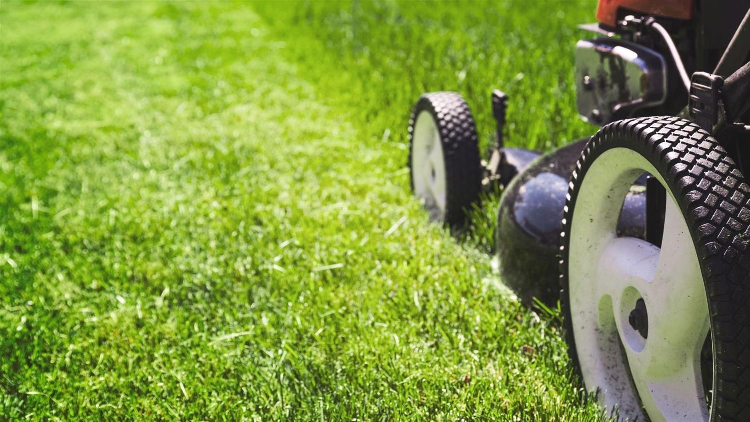 About Rodgers Landscaping in Boyds, MD