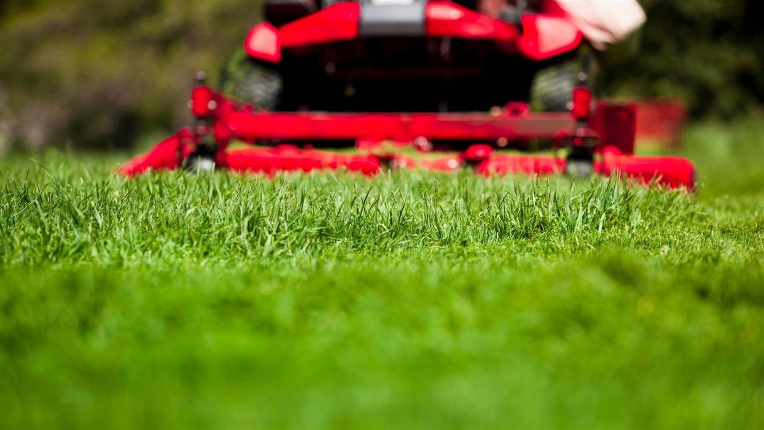 Overseeding Services in Boyds, MD