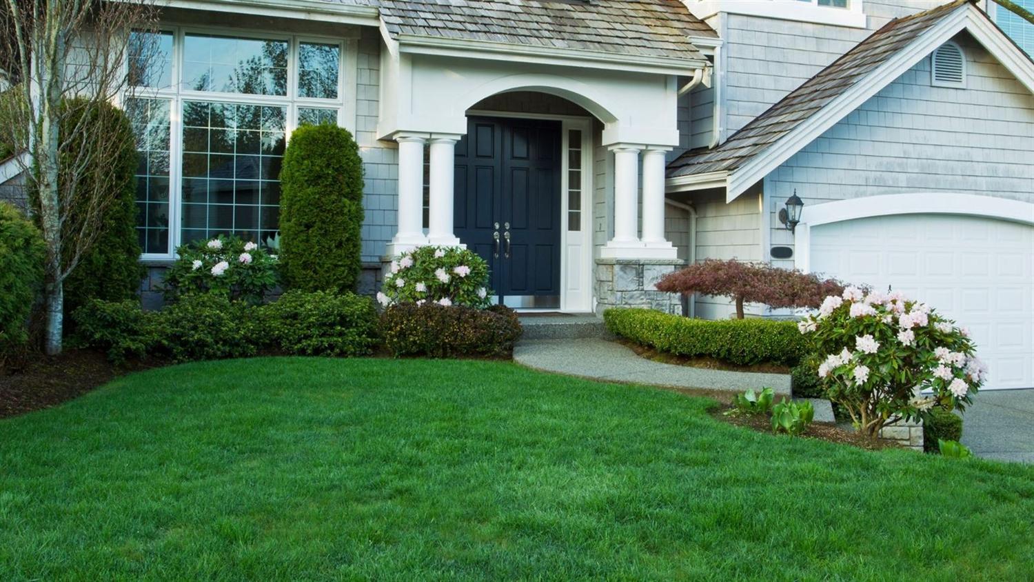 Landscape bed upgrades and cleanup